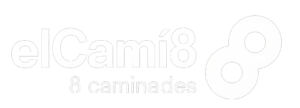 Cami8